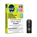 BLESSED BLUEBERRY MINT - FLAVOUR BEAST PODS (ONTARIO)