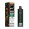 SHISHA DOUBLE APPLE - FLAVOUR BEAST BEAST BAR (20mL) (ONTARIO)