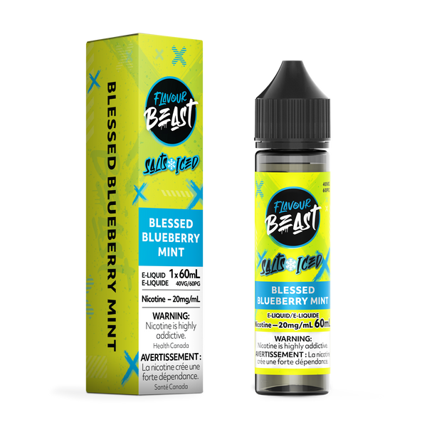 BLESSED BLUEBERRY MINT (ICED) - FLAVOUR BEAST E LIQUID (60mL) (ONTARIO)