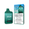 POLAR MINT - STLTH ECO BOX DISPOSABLE