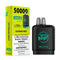 EXTREME MINT - FLAVOUR BEAST LEVEL X G2 ULTRA (20mL) (ONTARIO)