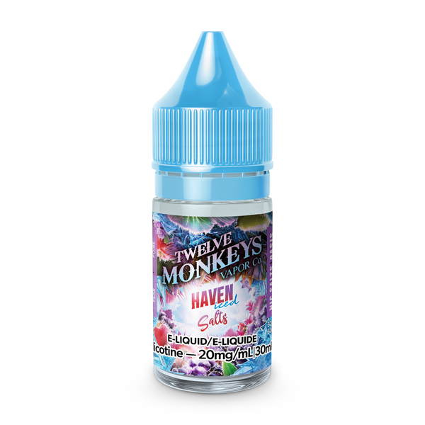 TWELVE MONKEYS ICE AGE SALTS - HAVEN ICED (30mL)