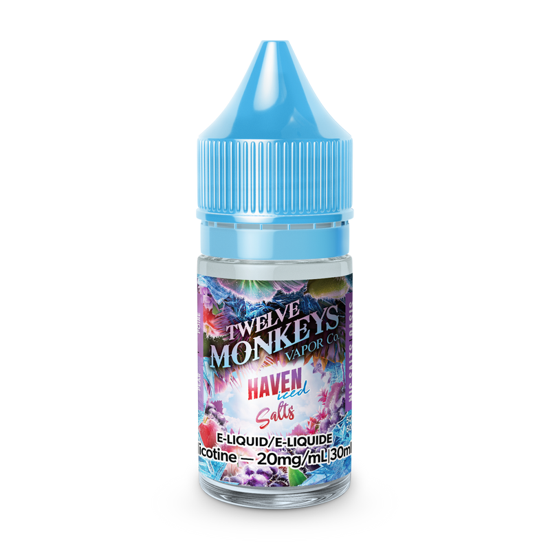 TWELVE MONKEYS ICE AGE SALTS - HAVEN ICED (30mL)