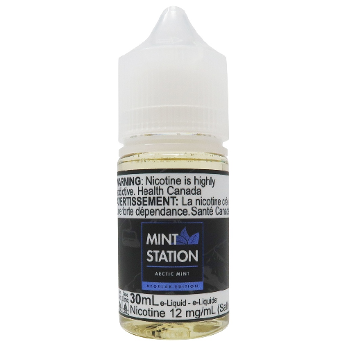 MINT STATION SALT - ARCTIC MINT (30mL)